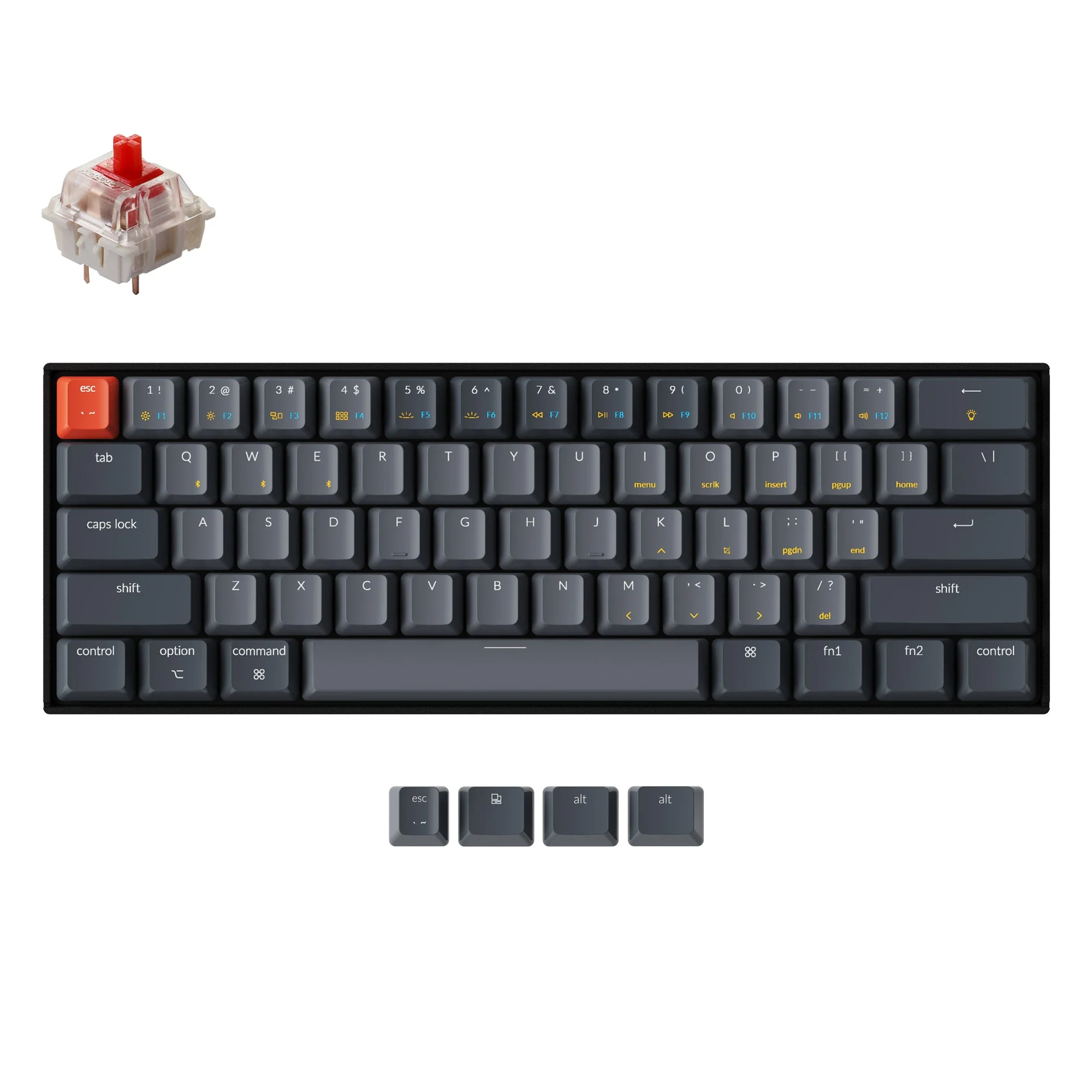 Miniatura 1