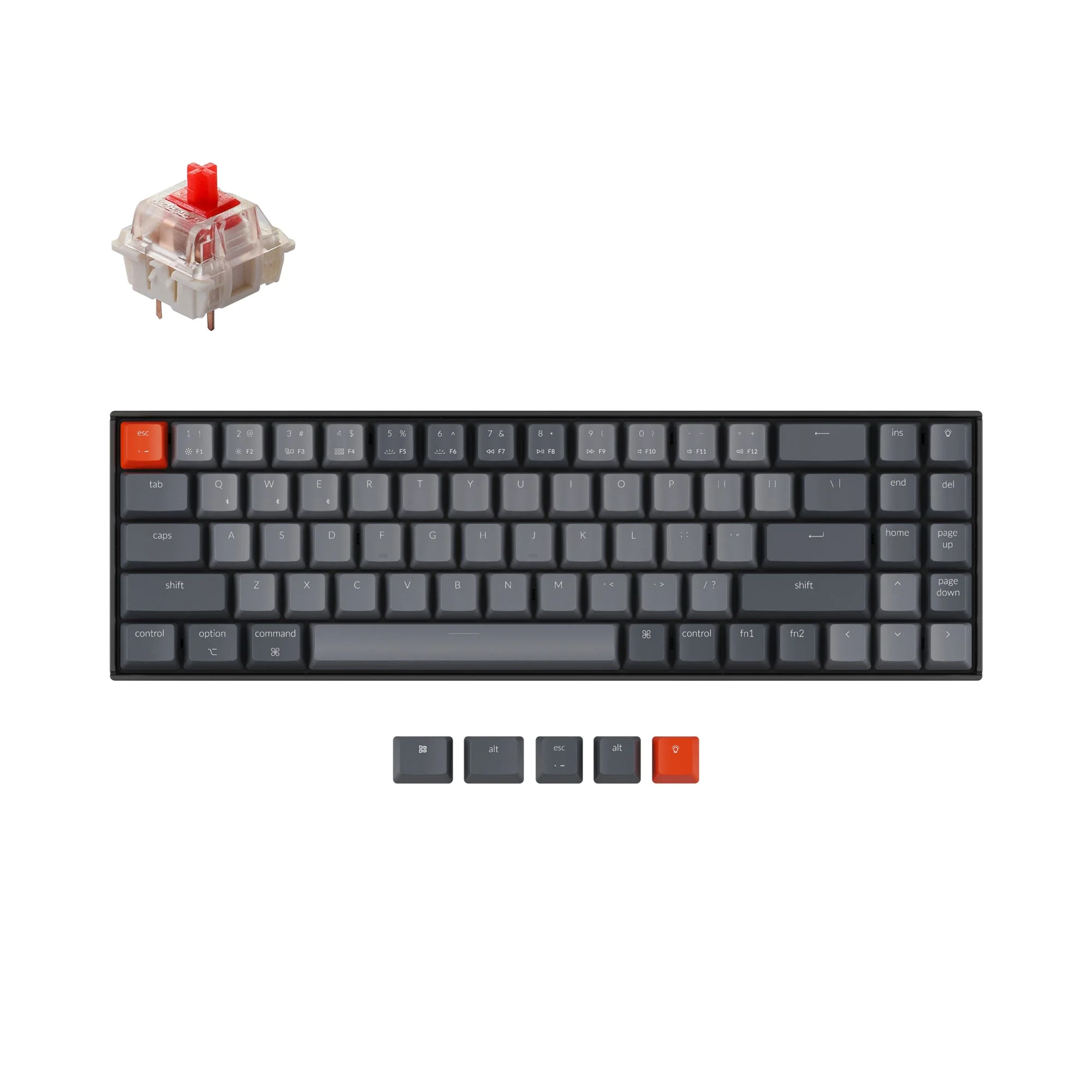 Miniatura 1