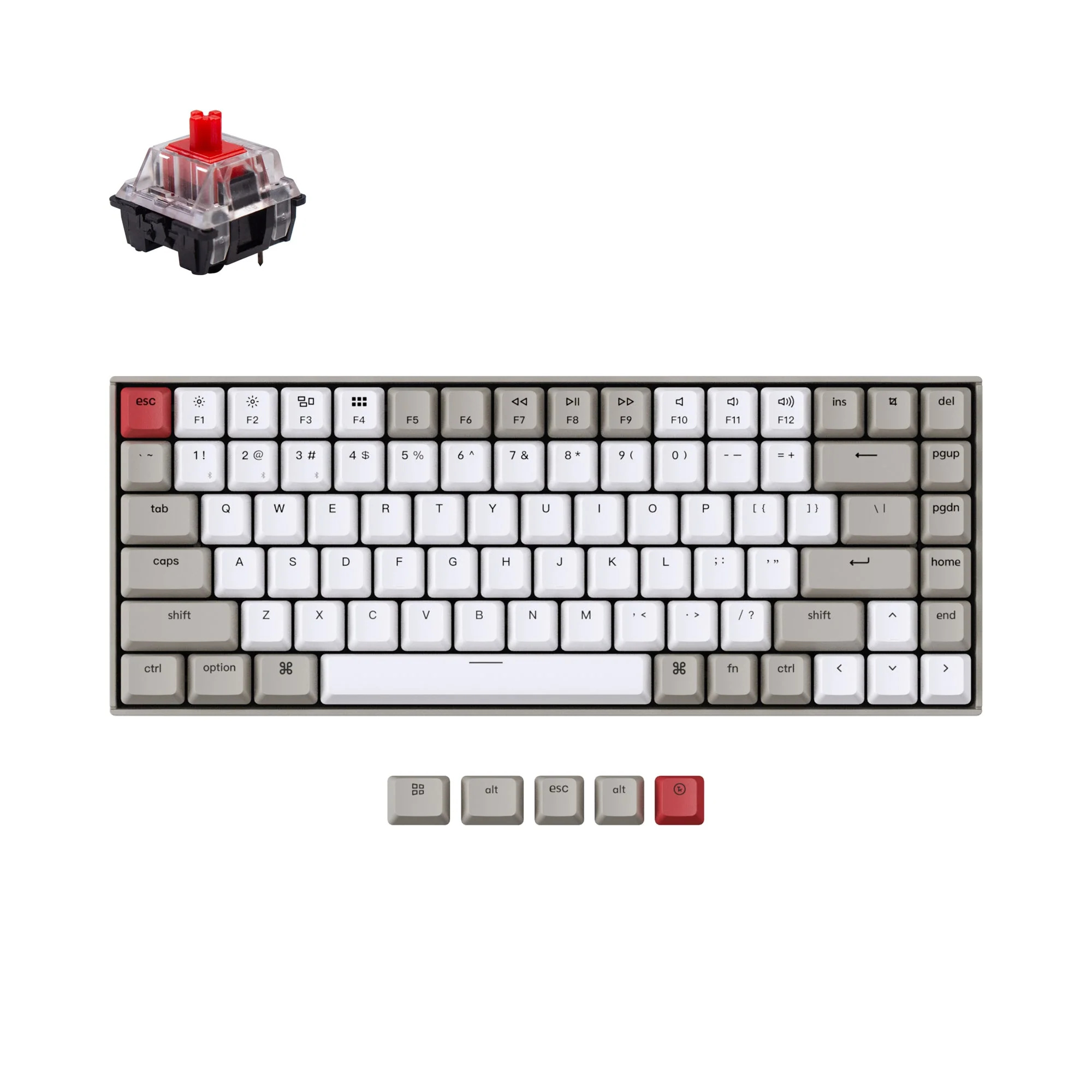 Miniatura 1